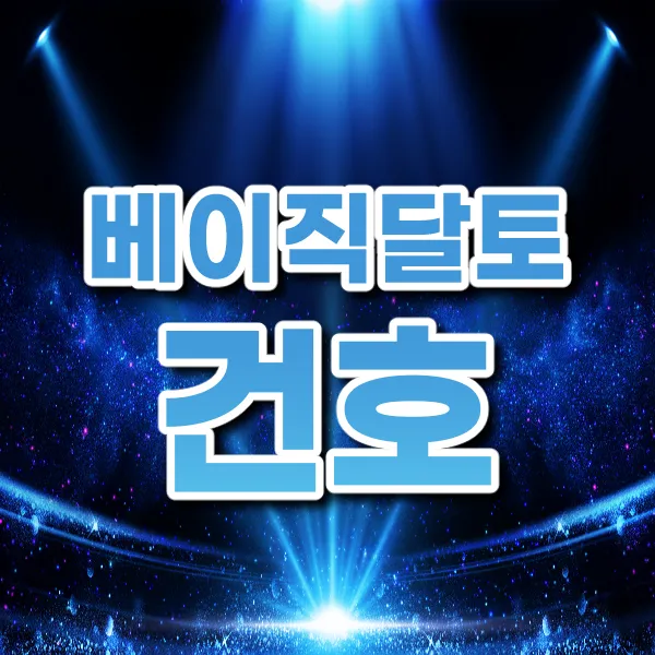 베이직건호