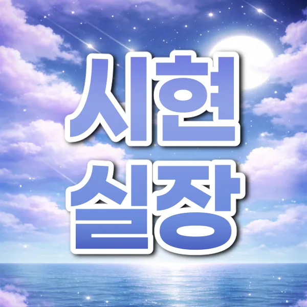 시현실장