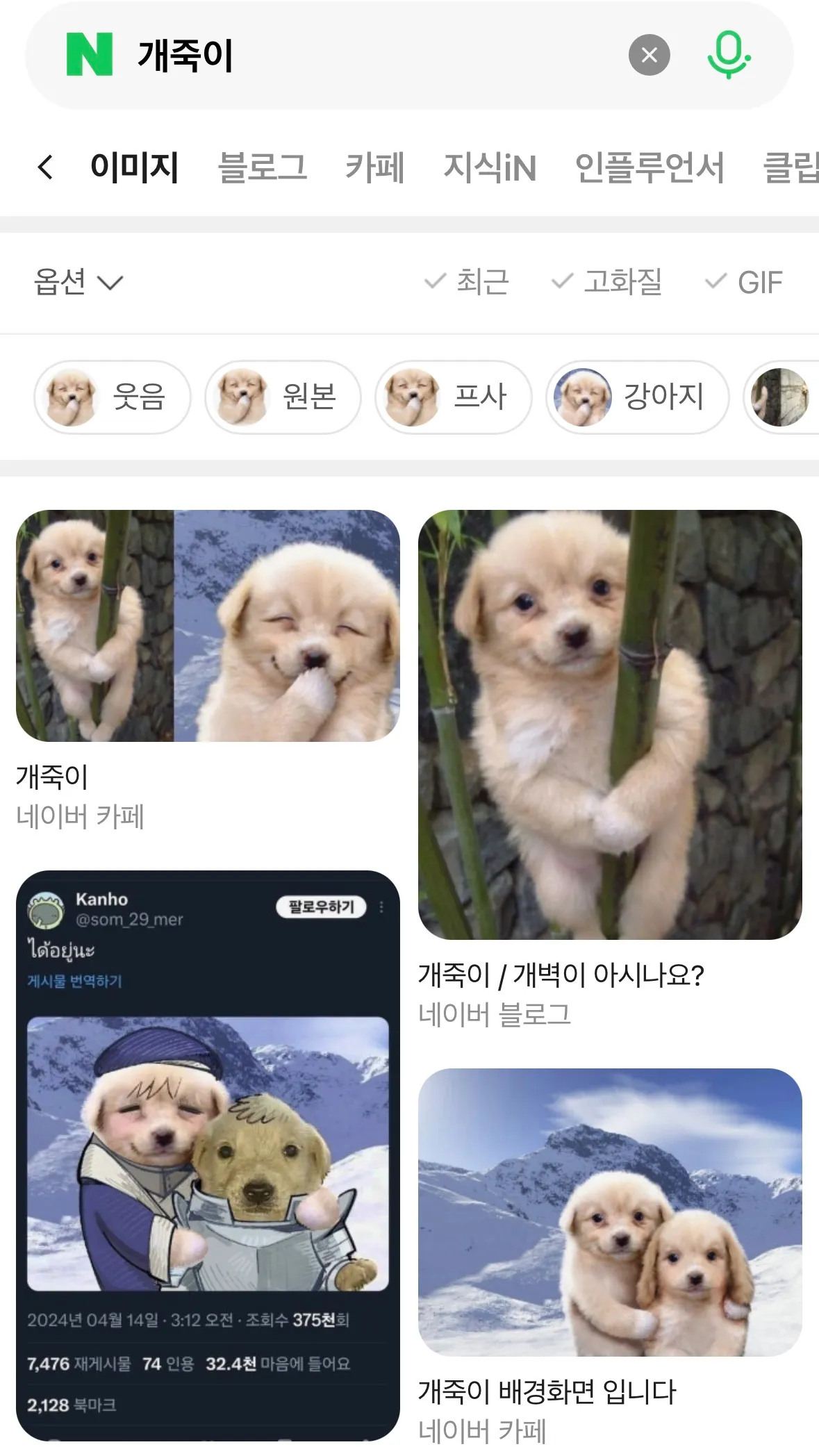 초이스 볼 때 표정 댓글