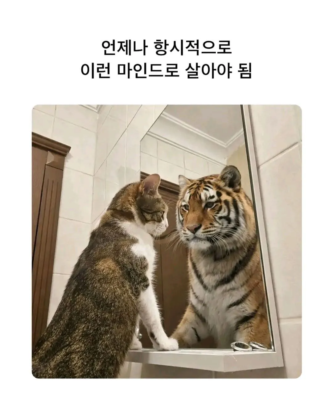 이런 마인드로 살아요 우리