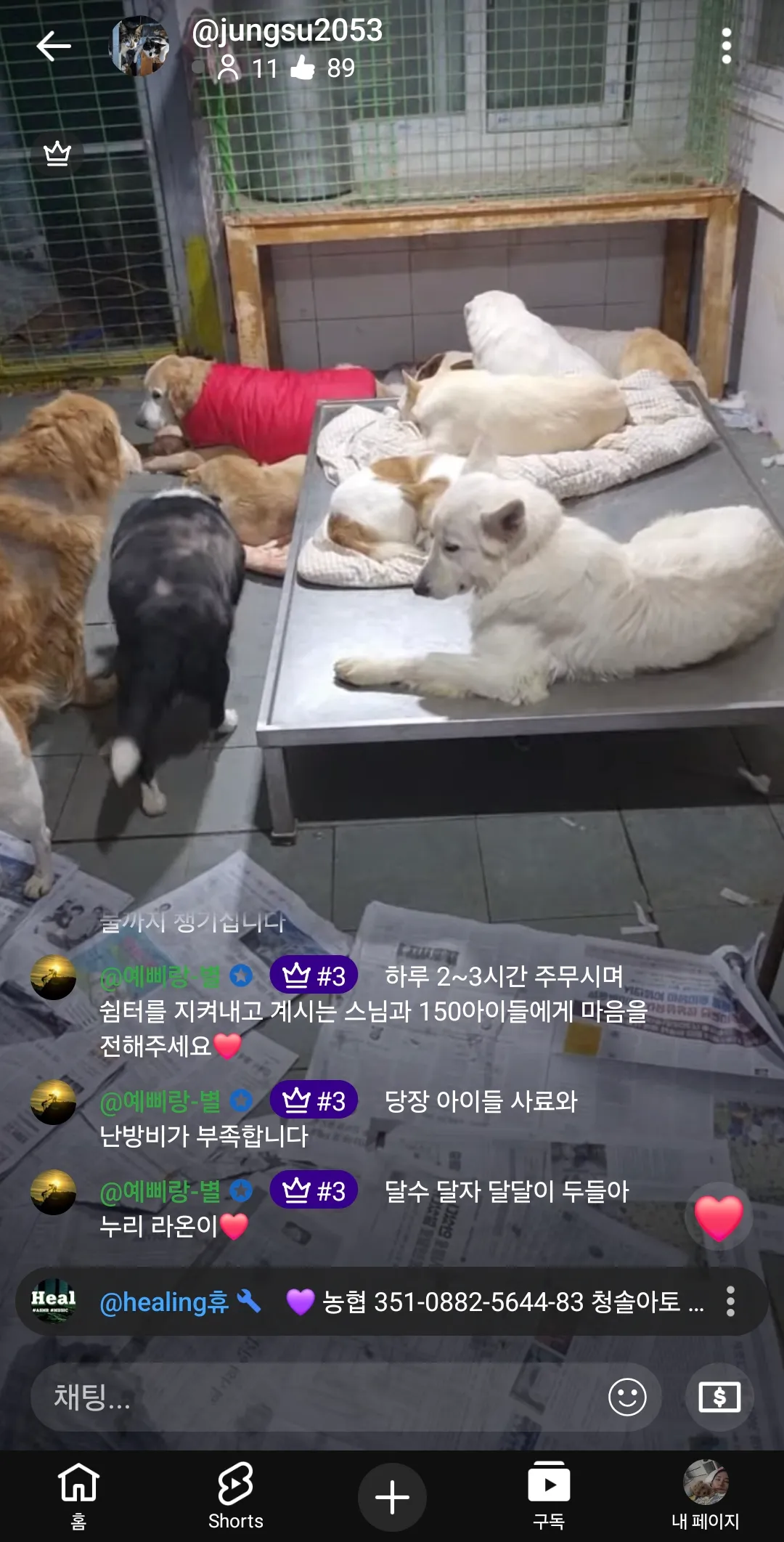 언니들 만원기부 릴레이도와주세요 스님유기견2