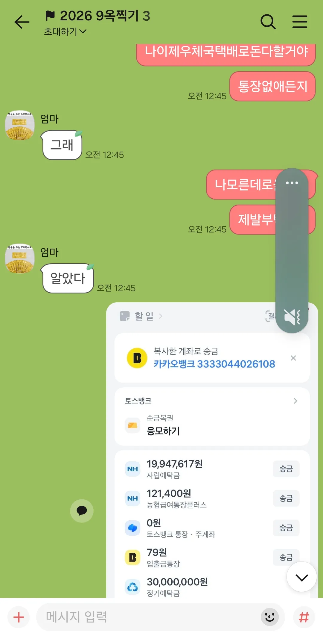 엄마통장에서몰래400써서 샤넬삿어요2