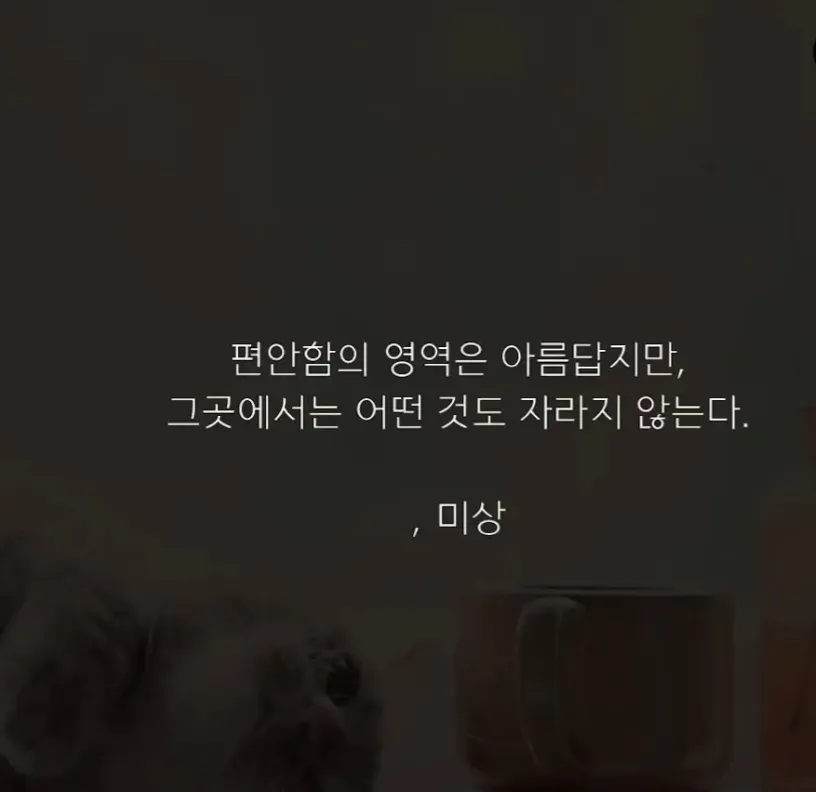 씨..