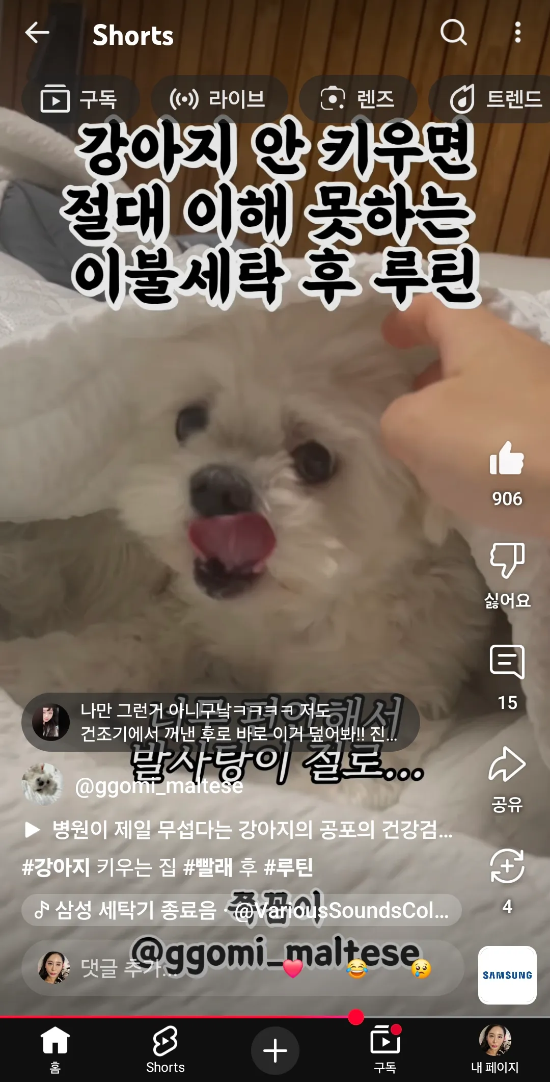 저강아지키울거임 부모님몰래 ㅇㅇ