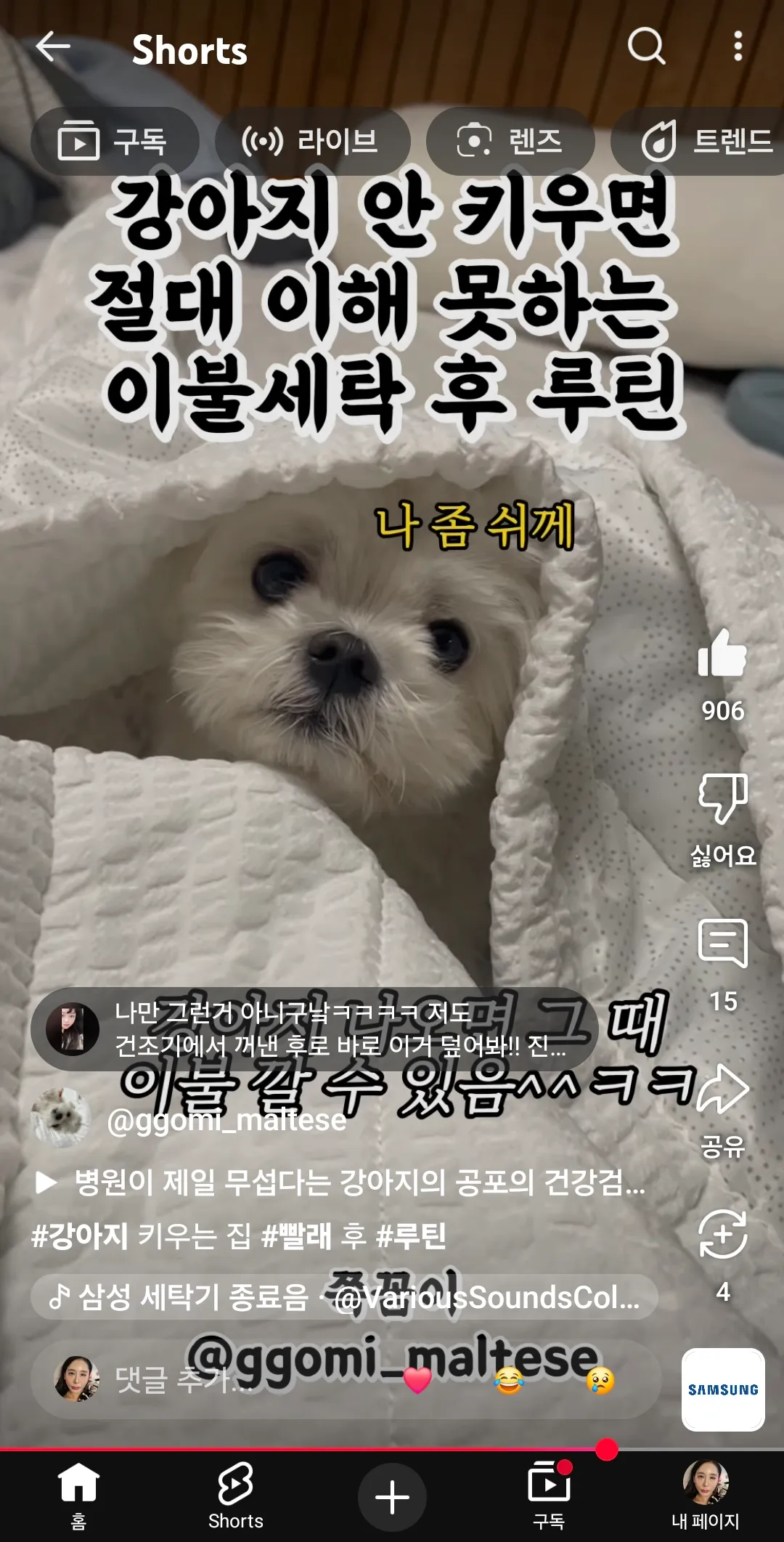 저강아지키울거임 부모님몰래 ㅇㅇ2