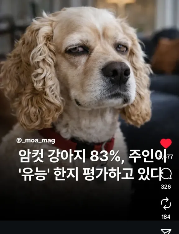 둥가둥가