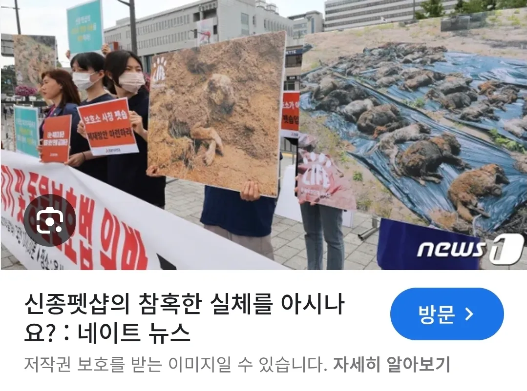 우리강아지 여자인데 이름추천요 댓글 3