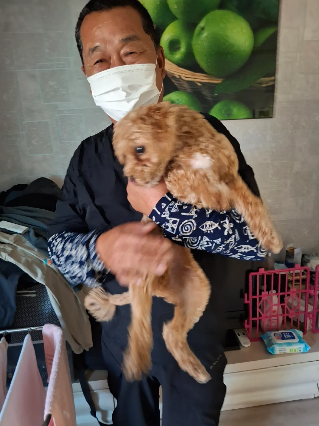 우리강아지 여자인데 이름추천요 댓글 6