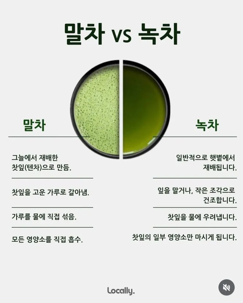 말차와 녹차의 차이