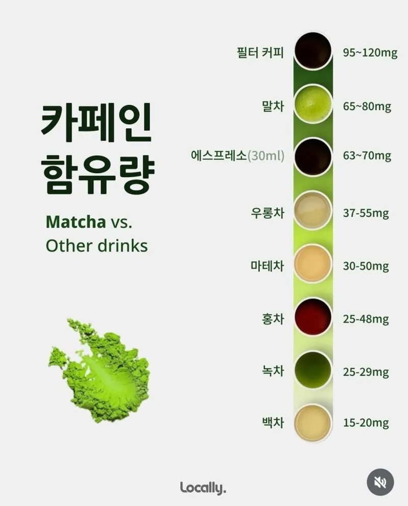말차와 녹차의 차이2