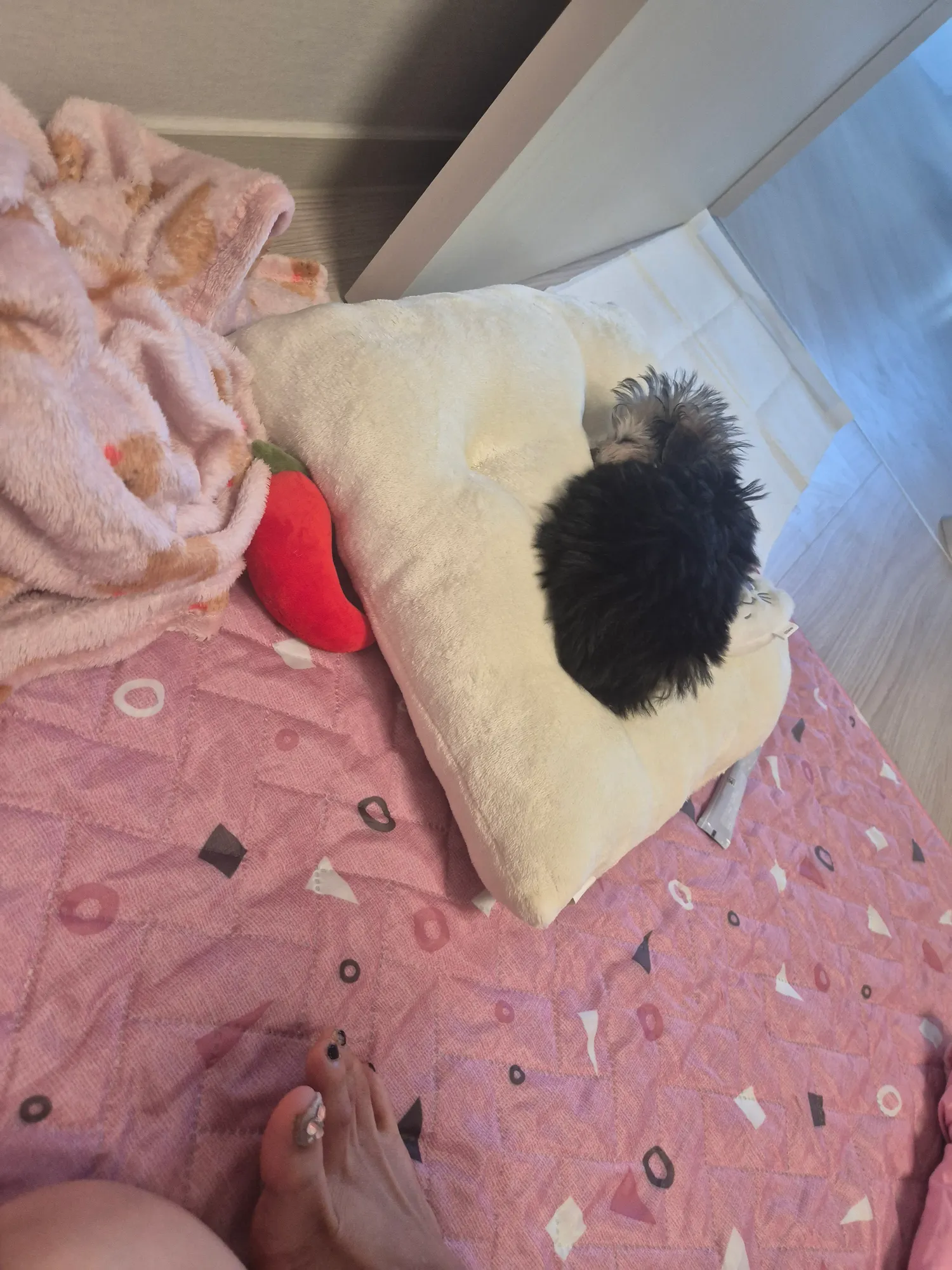 이사온집에서 곤히잔다2