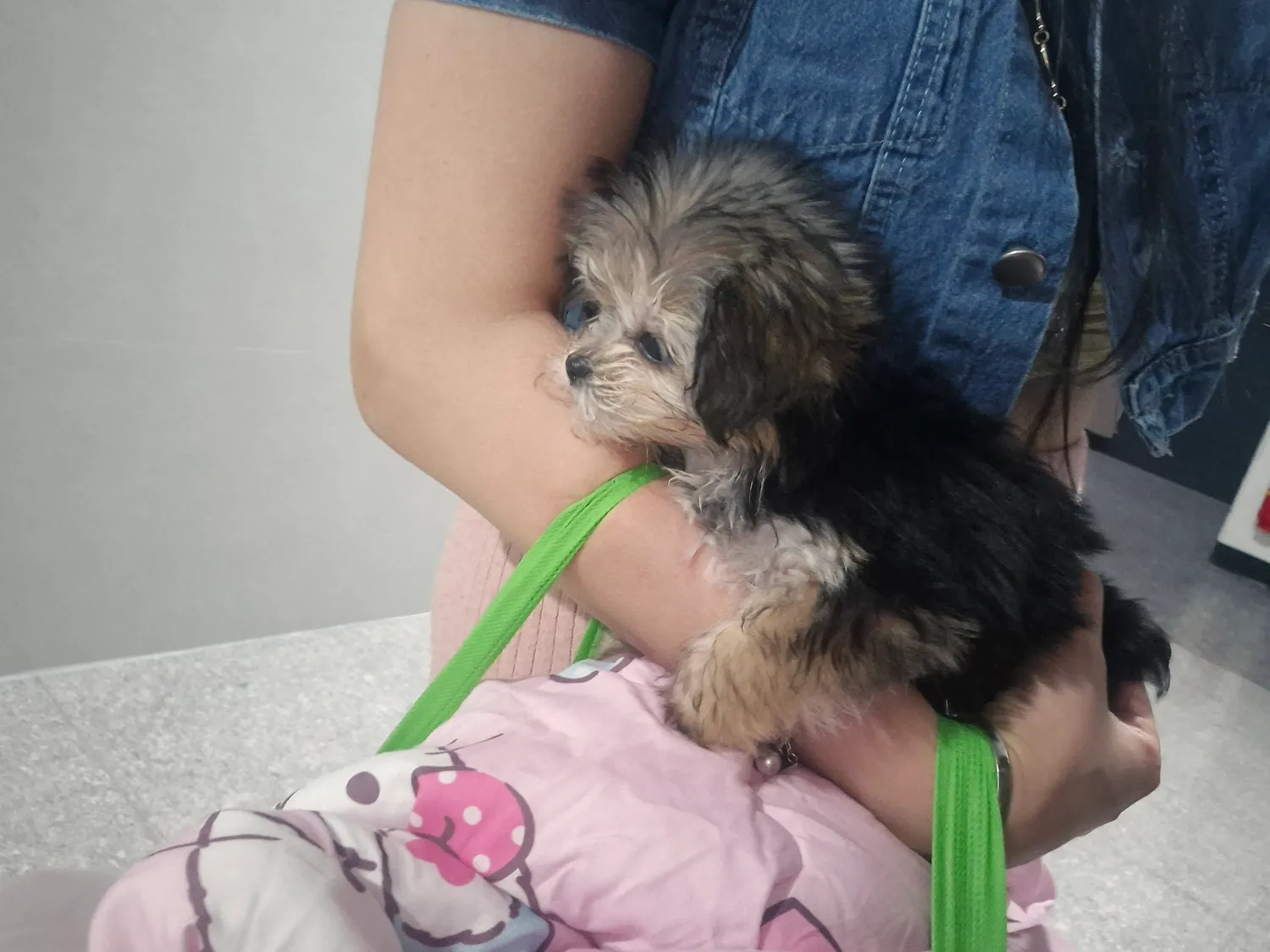 이사온집에서 곤히잔다3