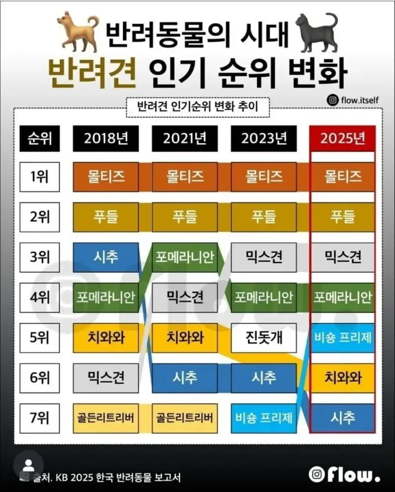 시대별 반려견 선호 순위