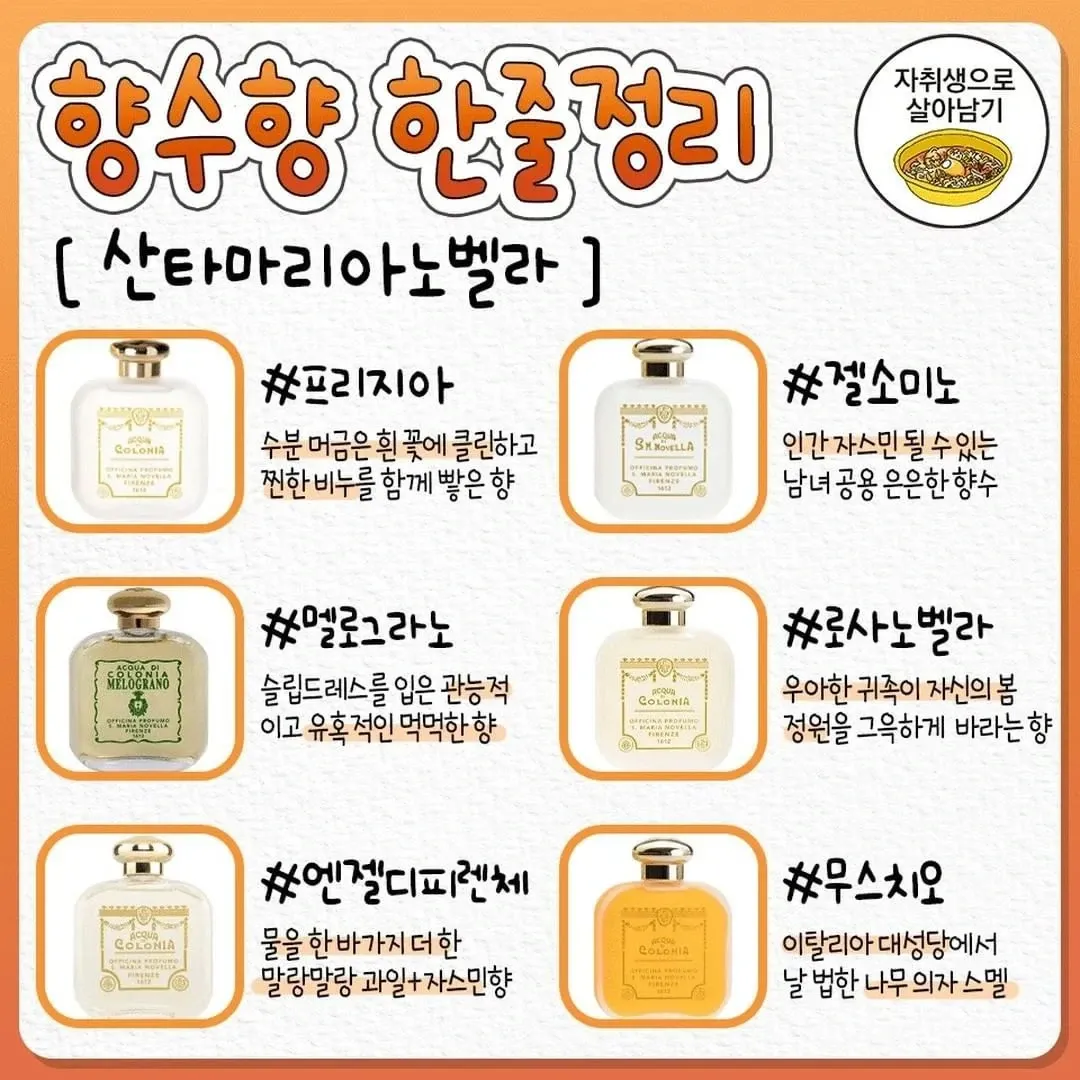 향수 살 때 참고하는 향수향 한줄정리6