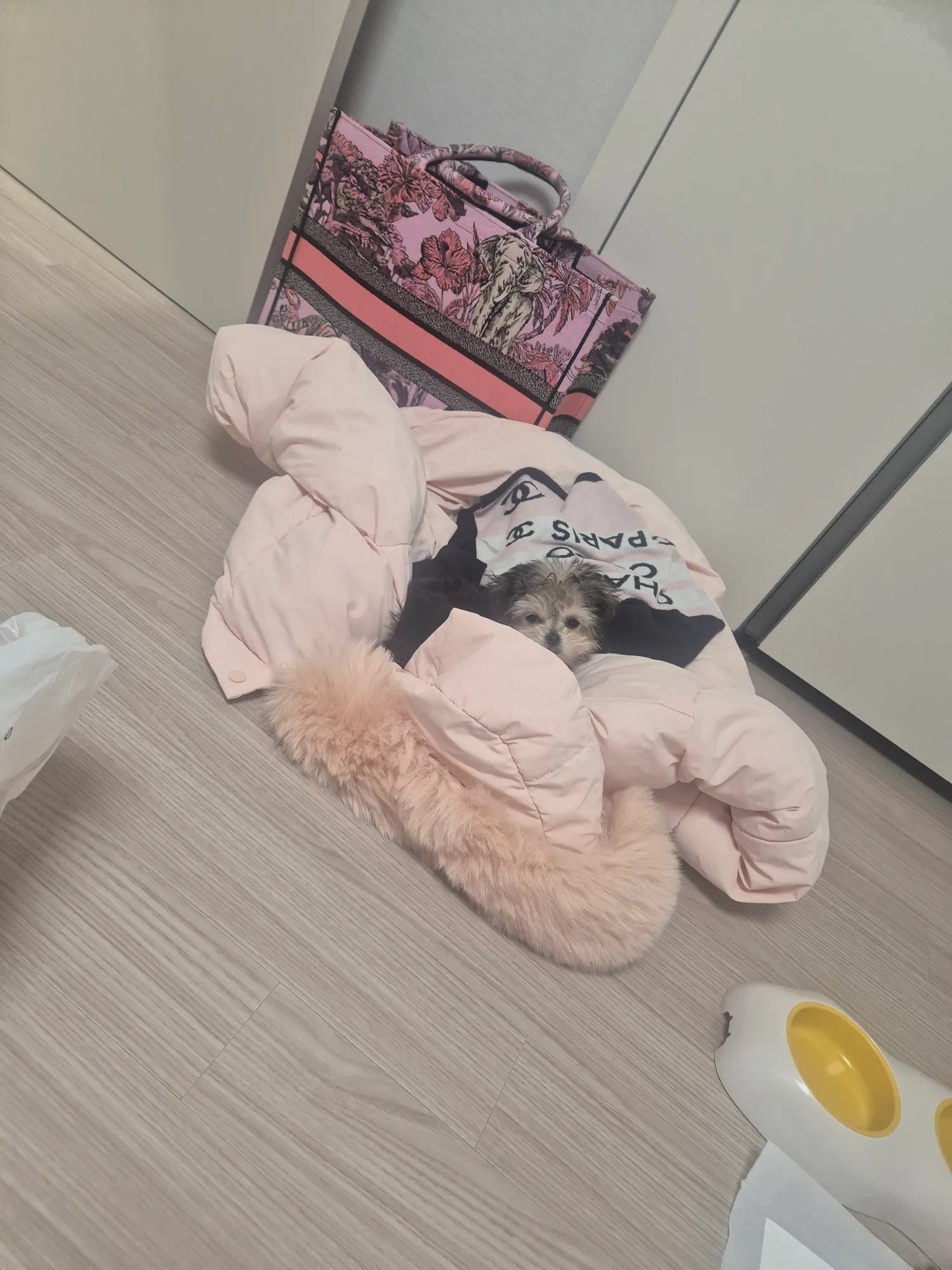 어제두쫀쿠시켯는데 그냥그렇더라 댓글 3