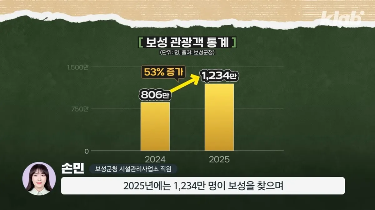 보성 녹차 근황2