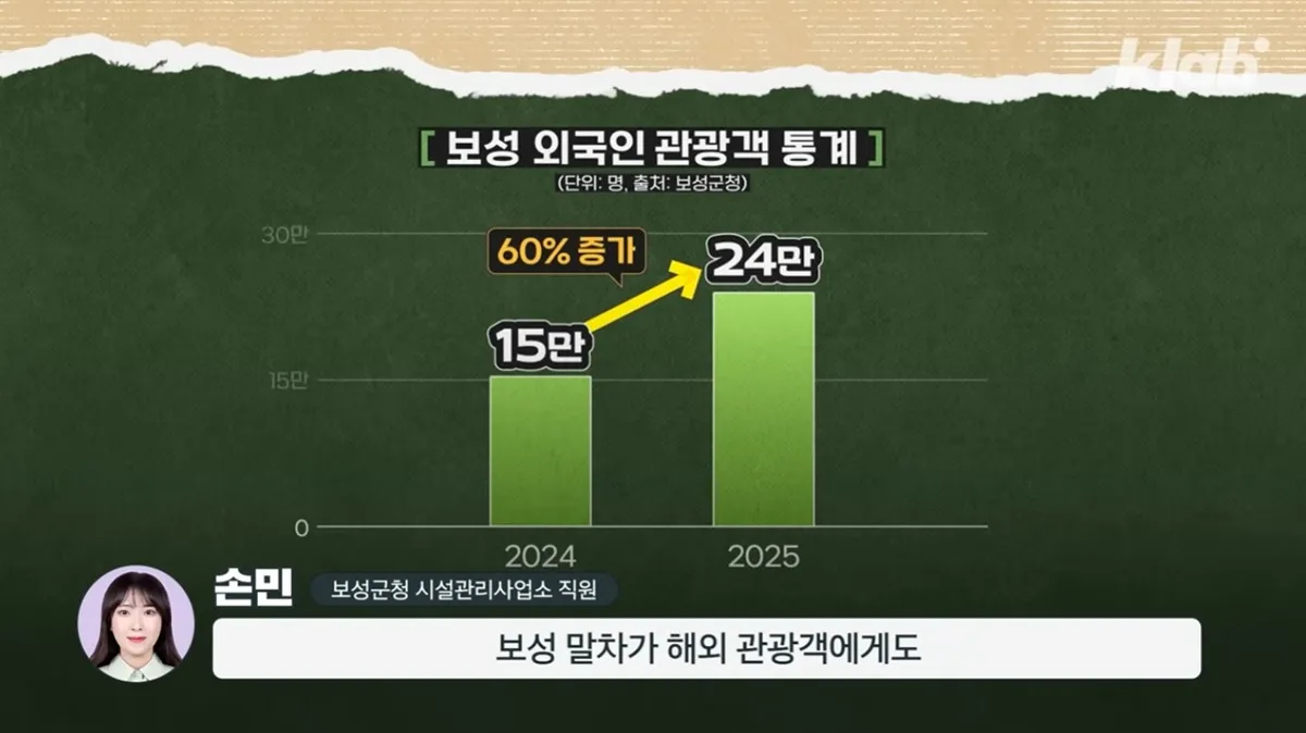 보성 녹차 근황3