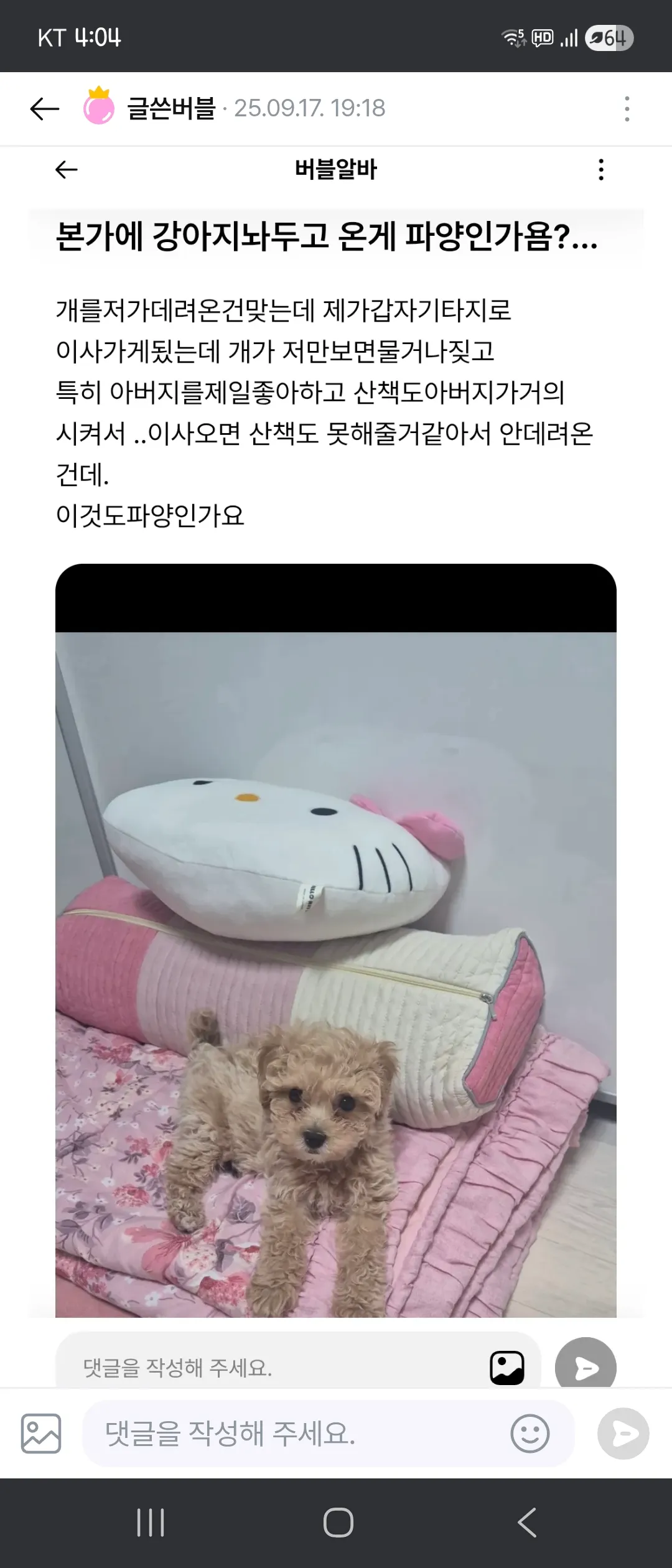 연퀴에 대한 실체는 모르고 댓글
