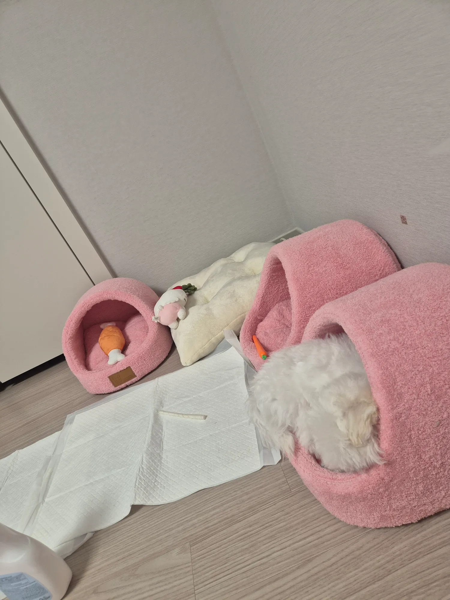 내일할일 댓글 2