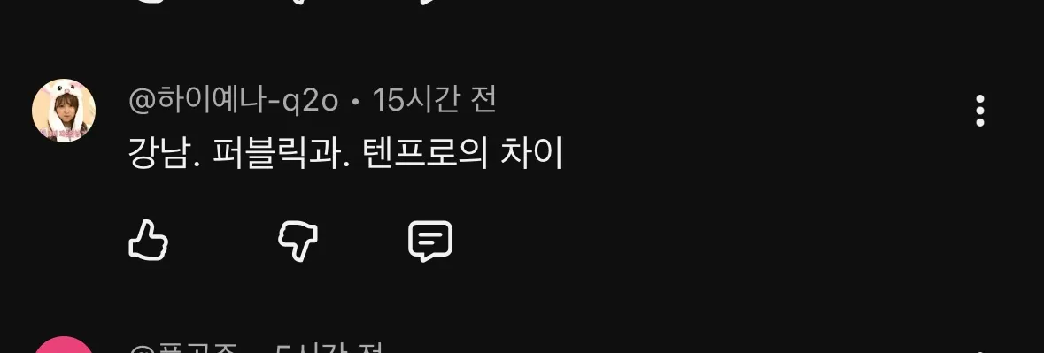 퍼블릭과 텐프로 차이ㅇㅈㄹ2