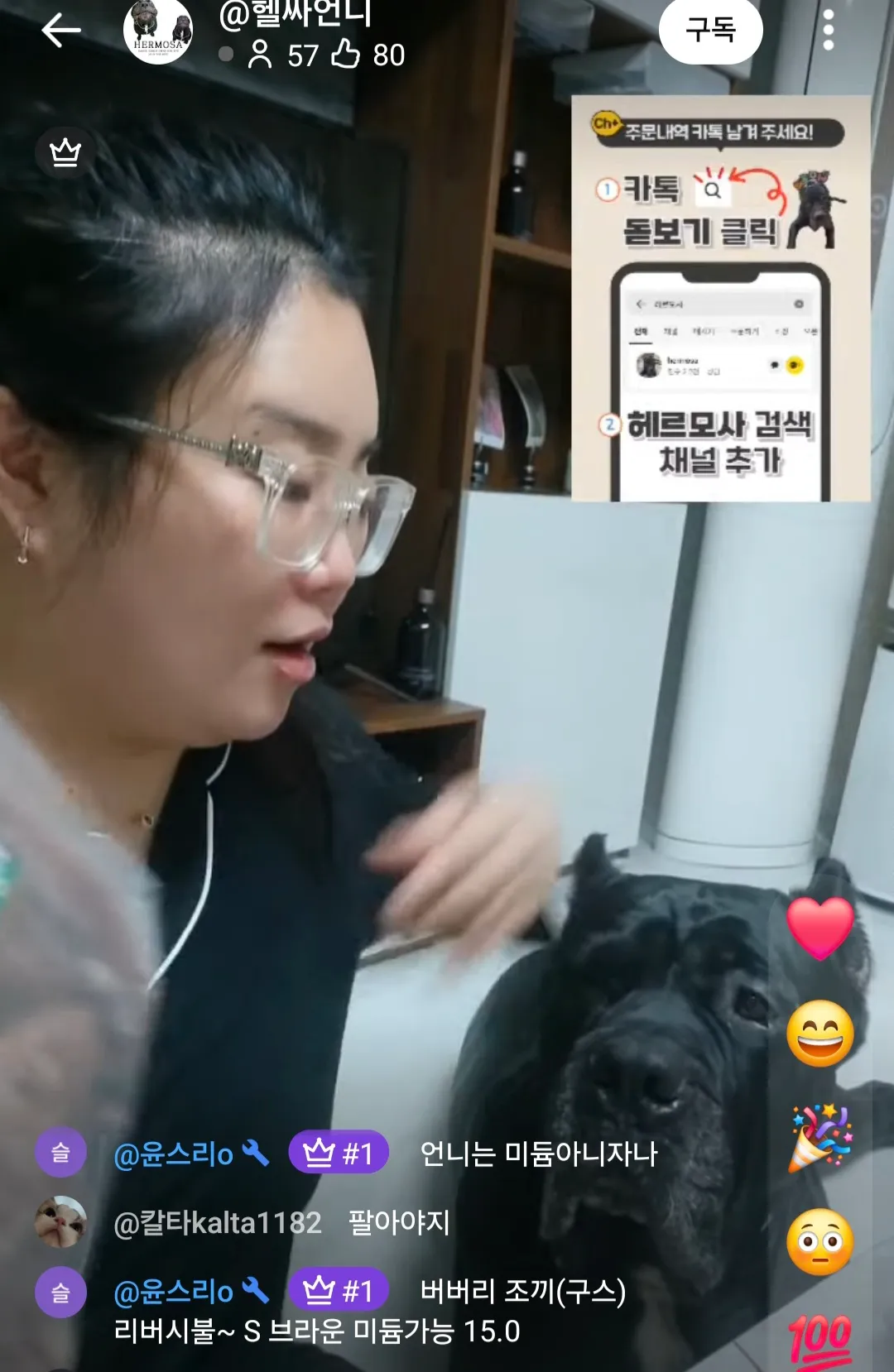 언니들 이 댕댕이 종뭐에요?겁나크네