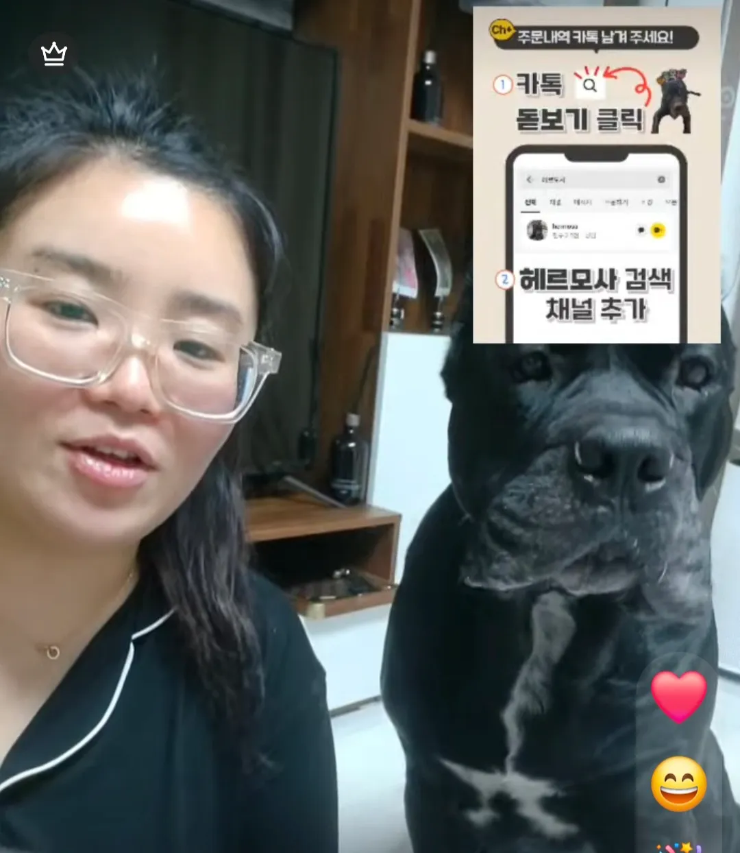 언니들 이 댕댕이 종뭐에요?겁나크네2