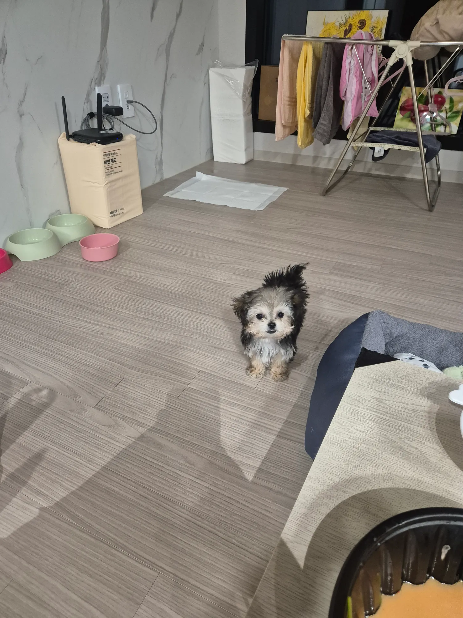 드디어보일러껏음..애기들 중요부위씻겻ㅇ