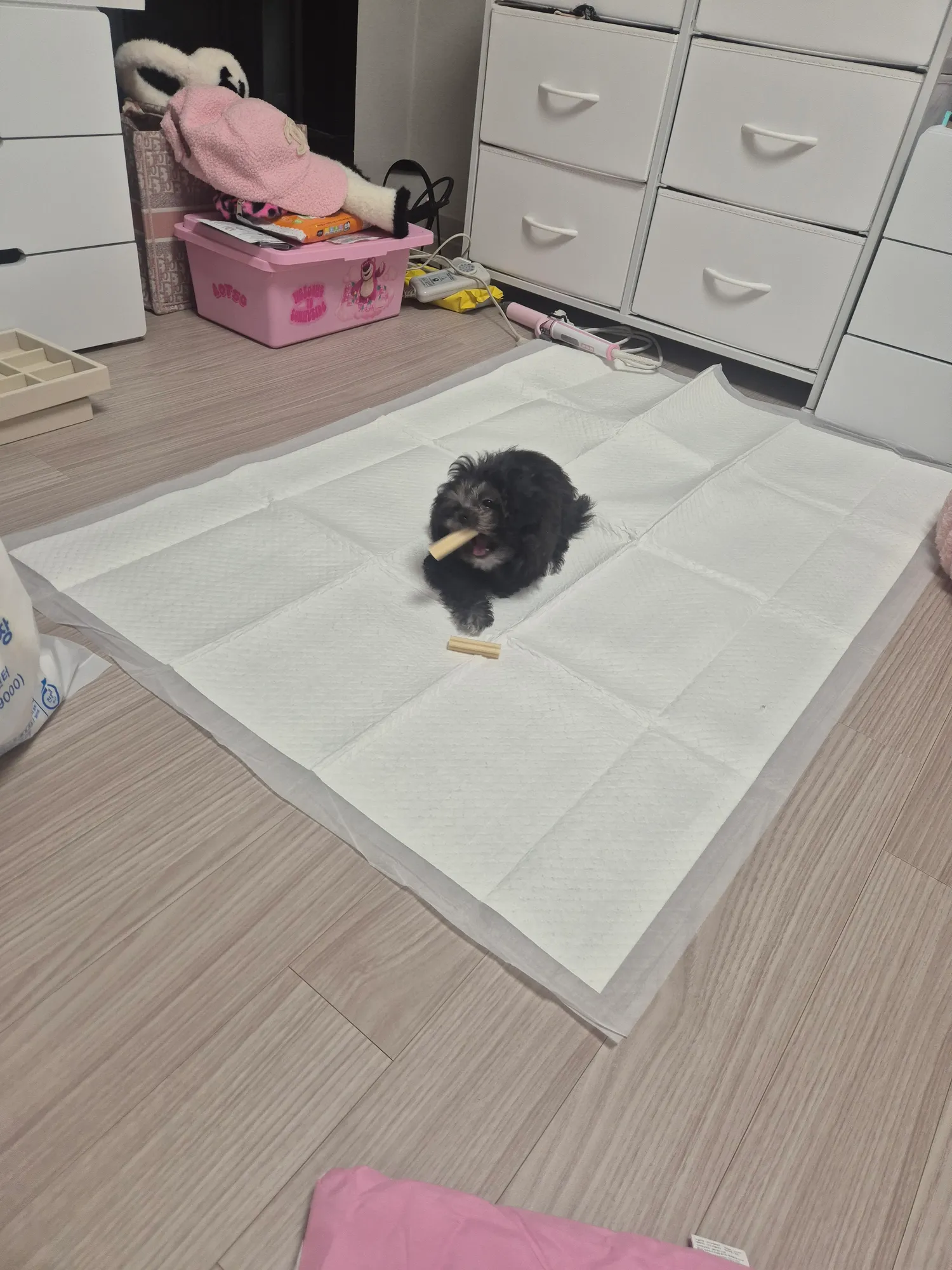 드디어보일러껏음..애기들 중요부위씻겻ㅇ3