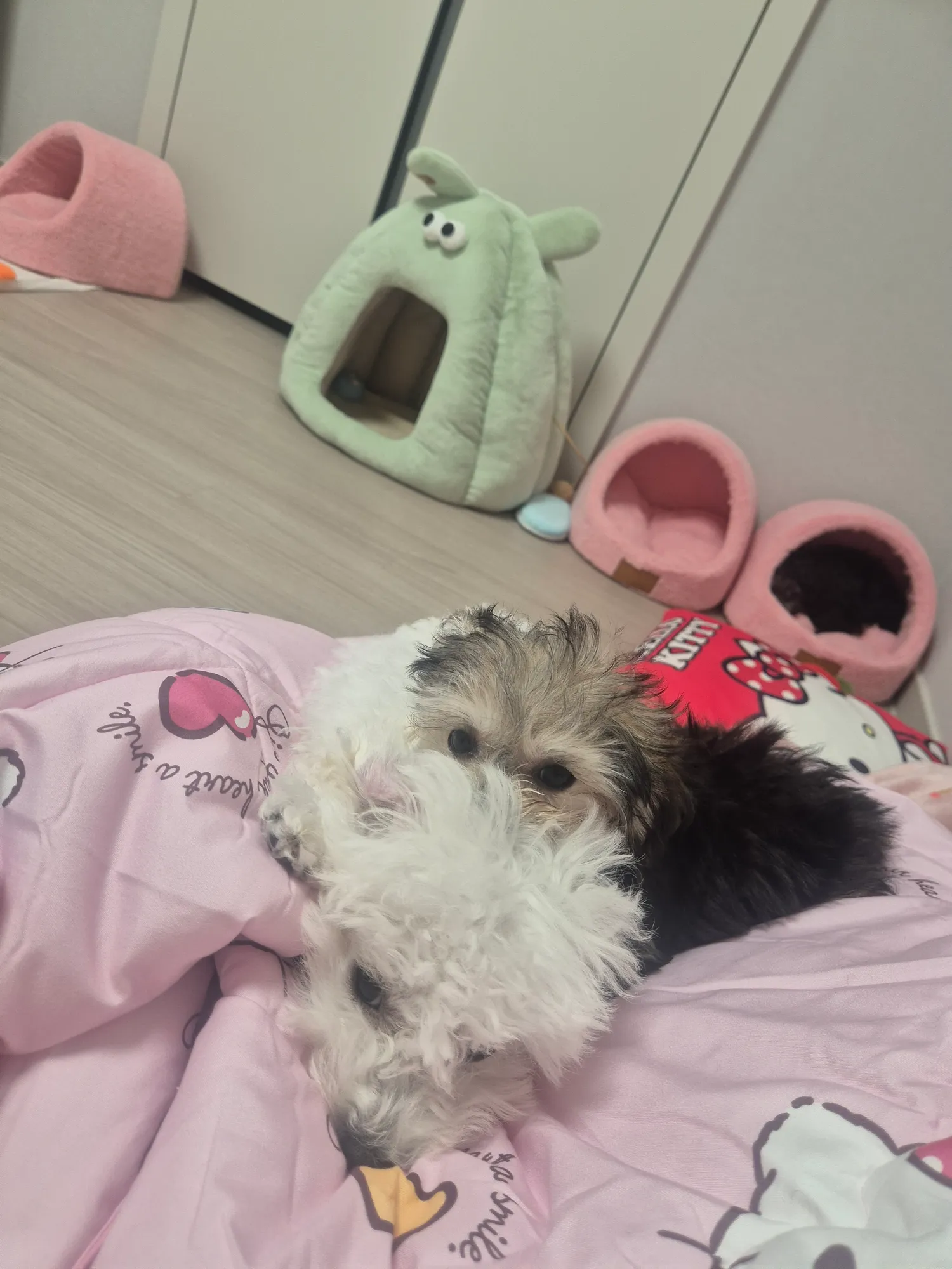 아 나 유모차 길에서자빠질거같다 내가조립해서 댓글