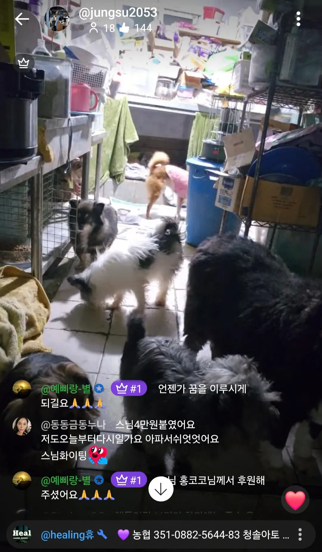 2월의 유기견묘 사료값 첫후원2