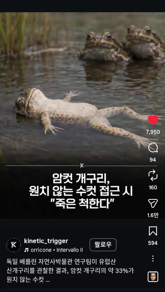 진심 동물들도 원치않는수컷이 접근하면