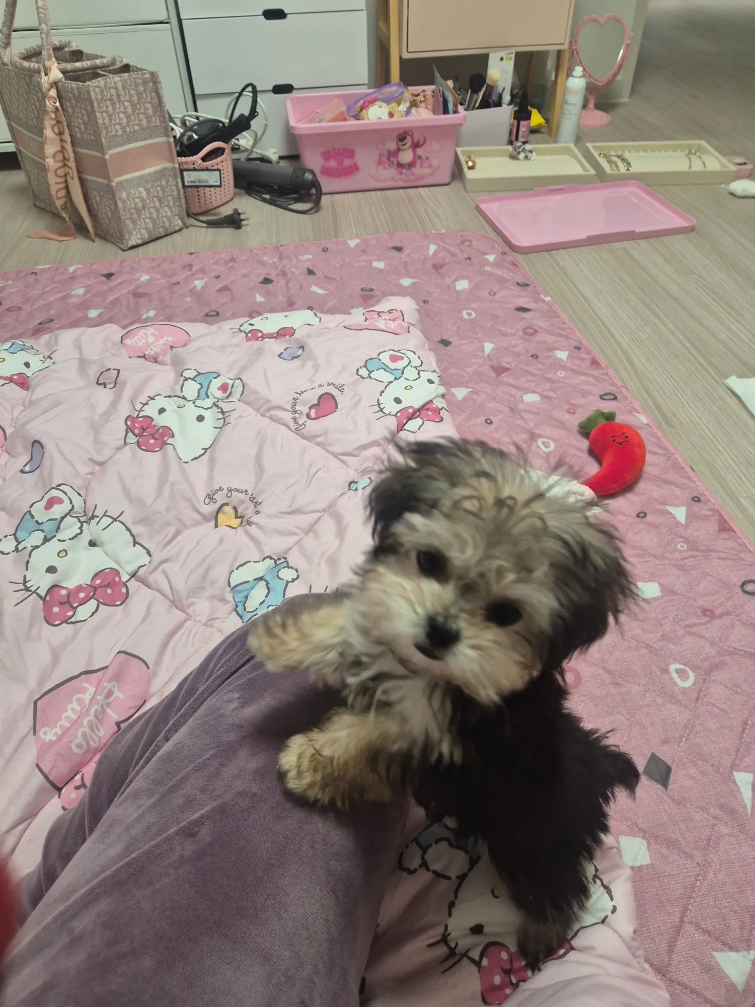다시불안장애와서 울다잠드는중