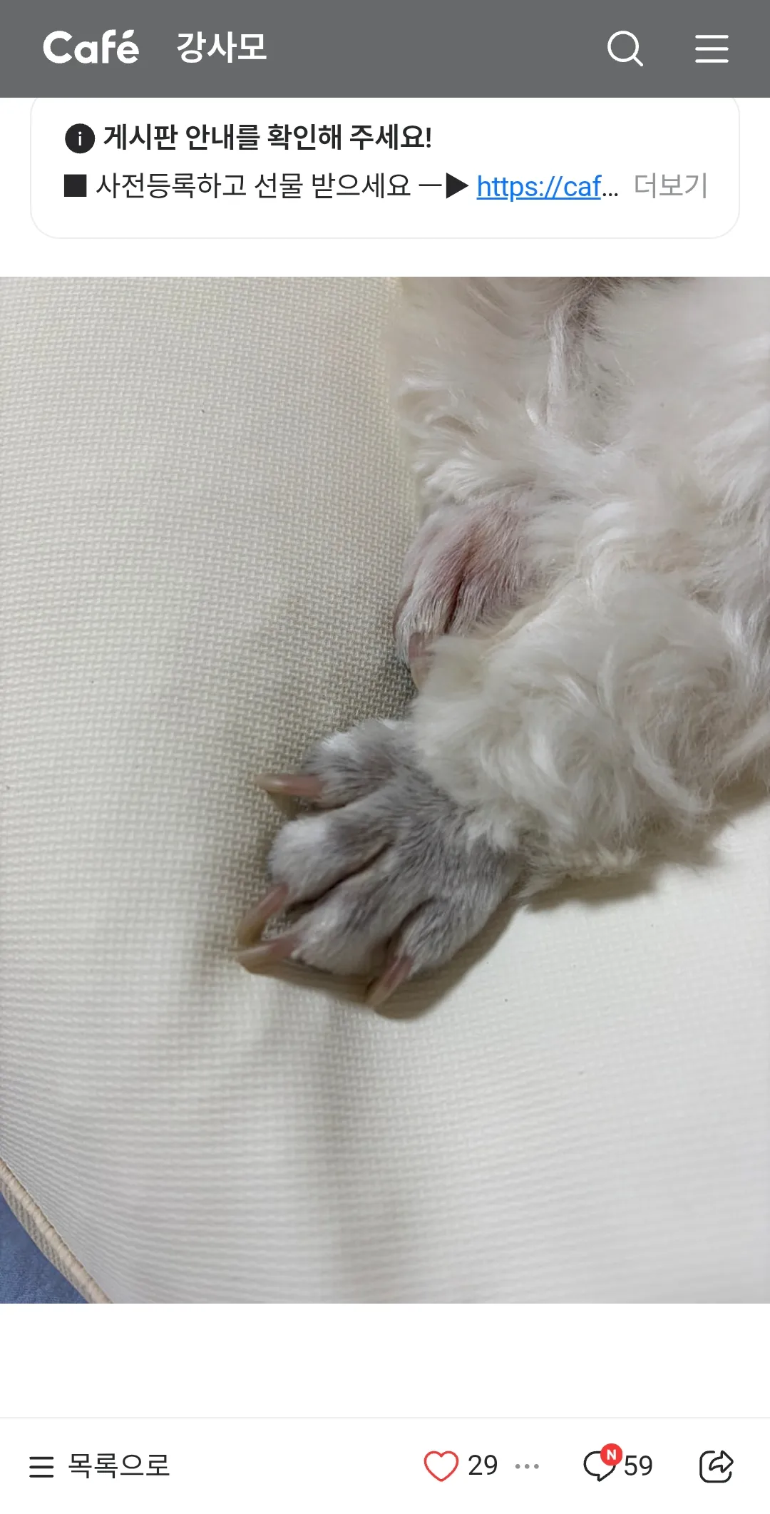 잘자