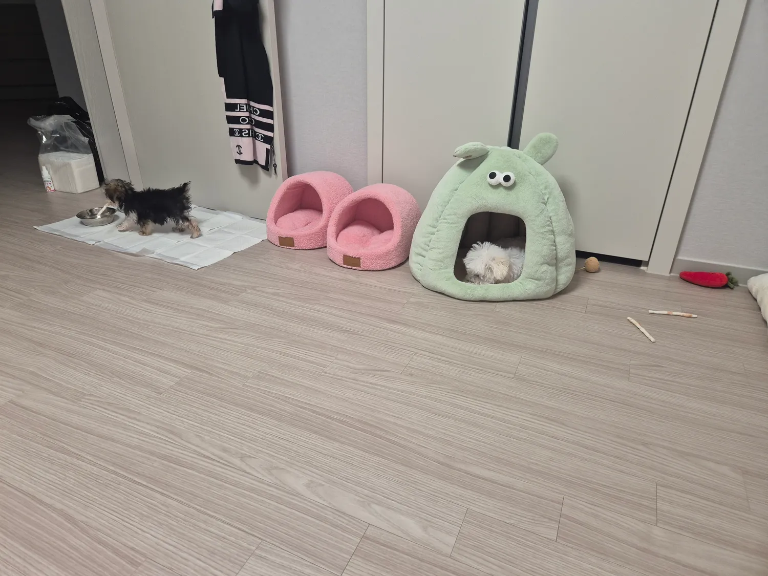 존맛 댓글 2