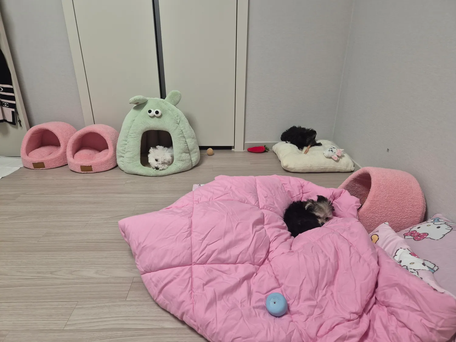 존맛 댓글 3