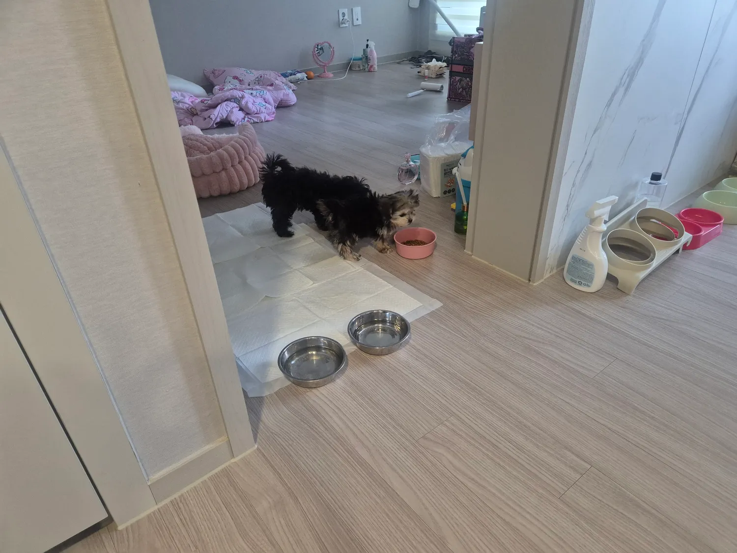 밥먹이고 일가는중 오늘부터