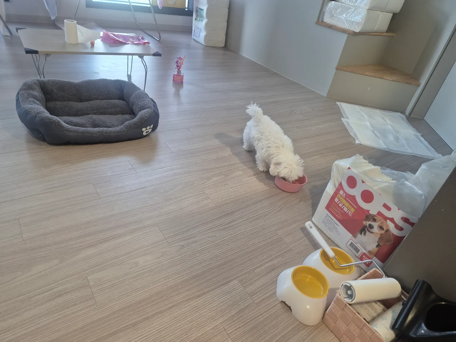 밥먹이고 일가는중 오늘부터2