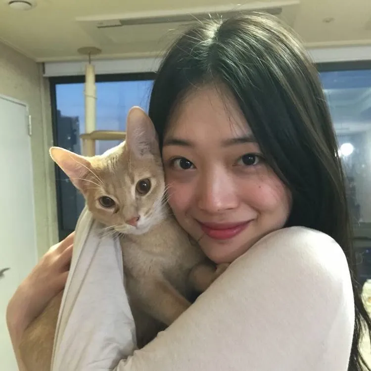 설리13