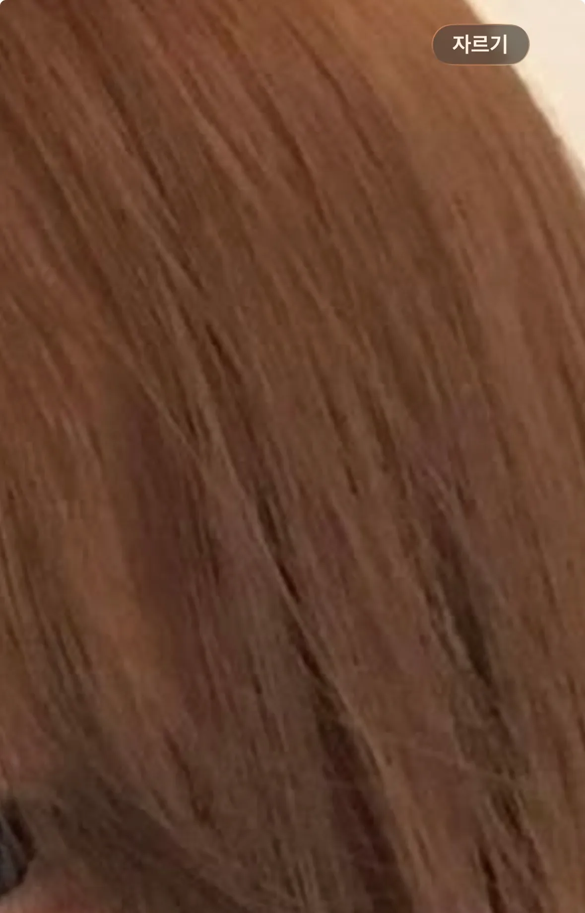 텐카다니는데 이정도 오렌지브라운 염색하면