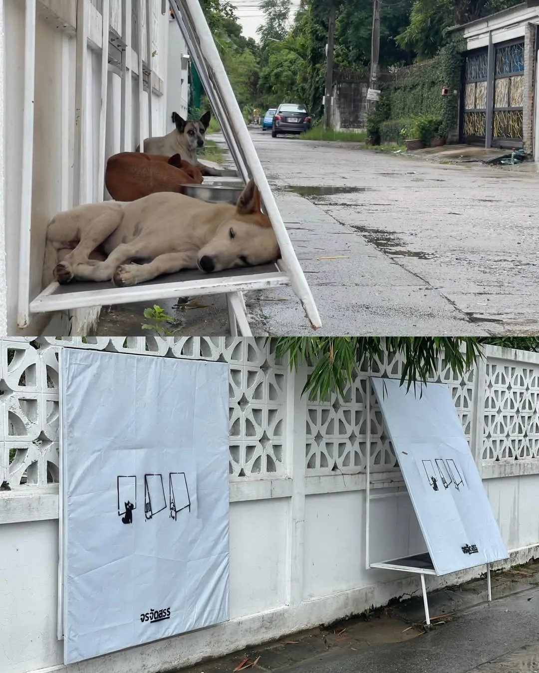 태국 동물 보호단체가 만든 접이식 쉘터