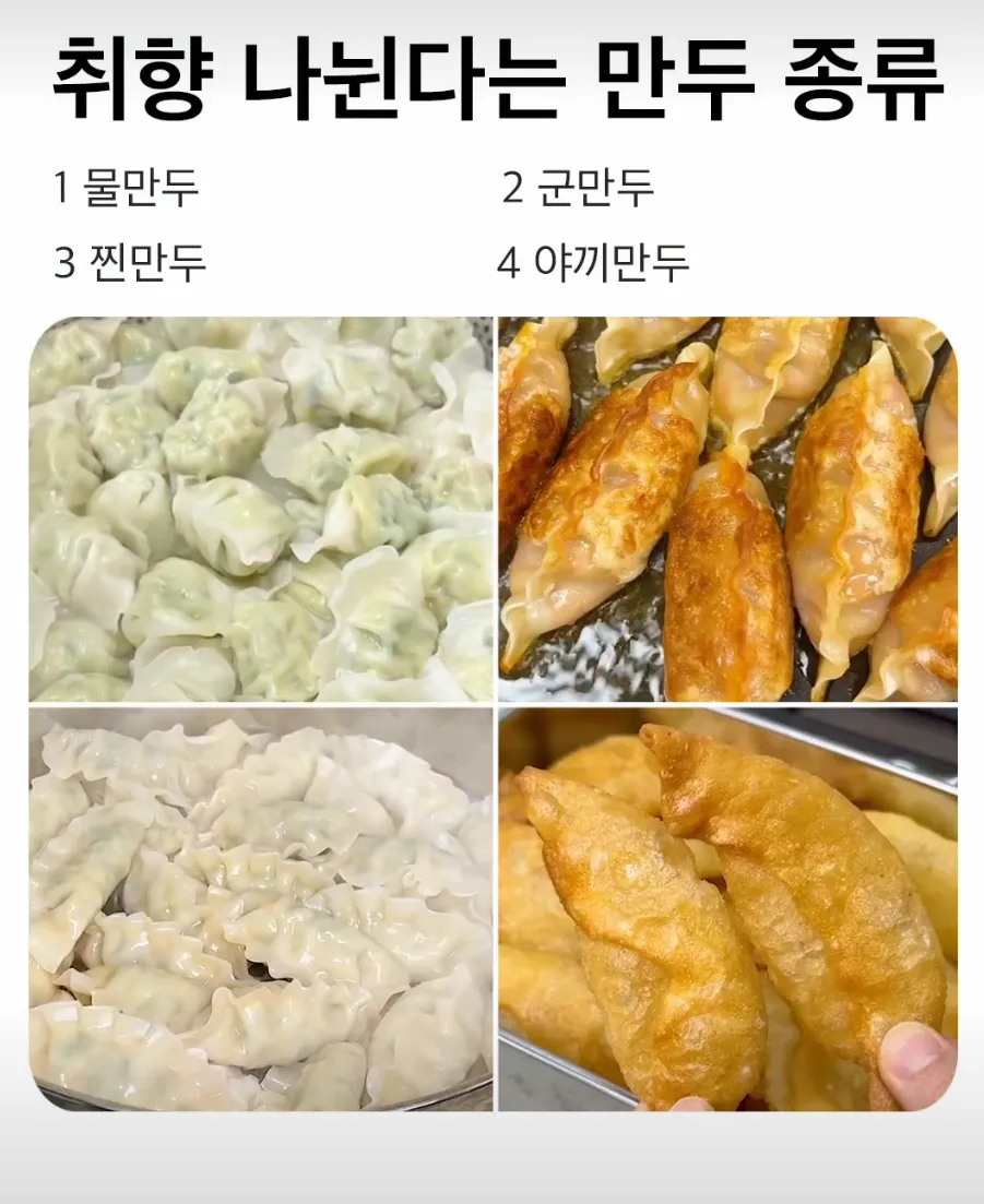 취향 나뉘는 만두 종류