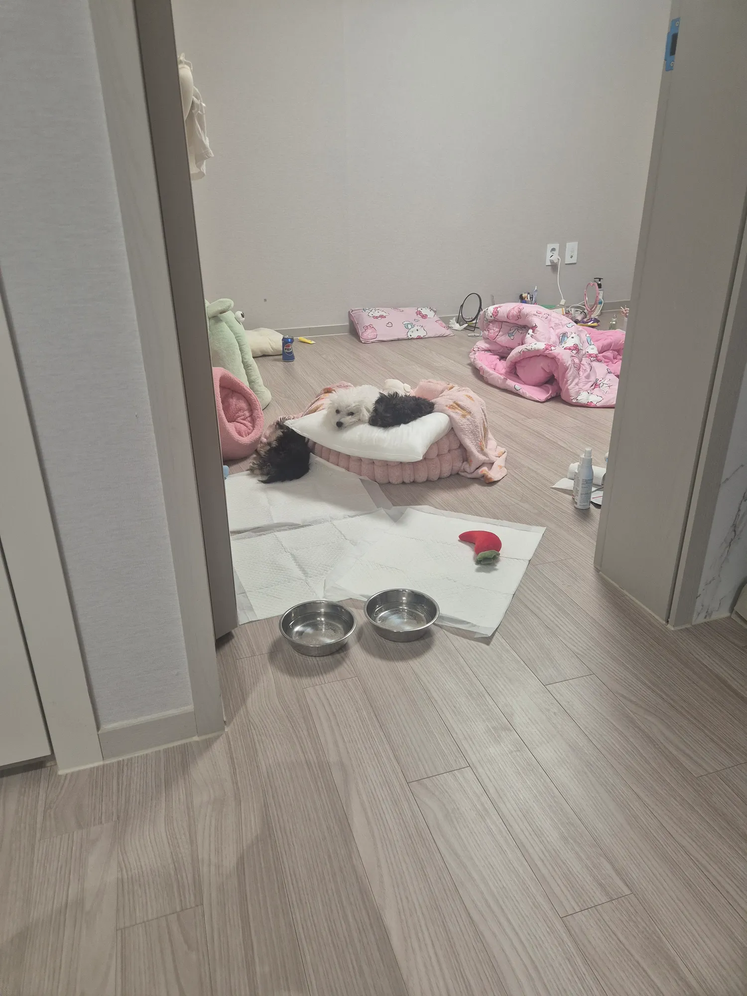 오늘낮4시까지 150찍어야된다3