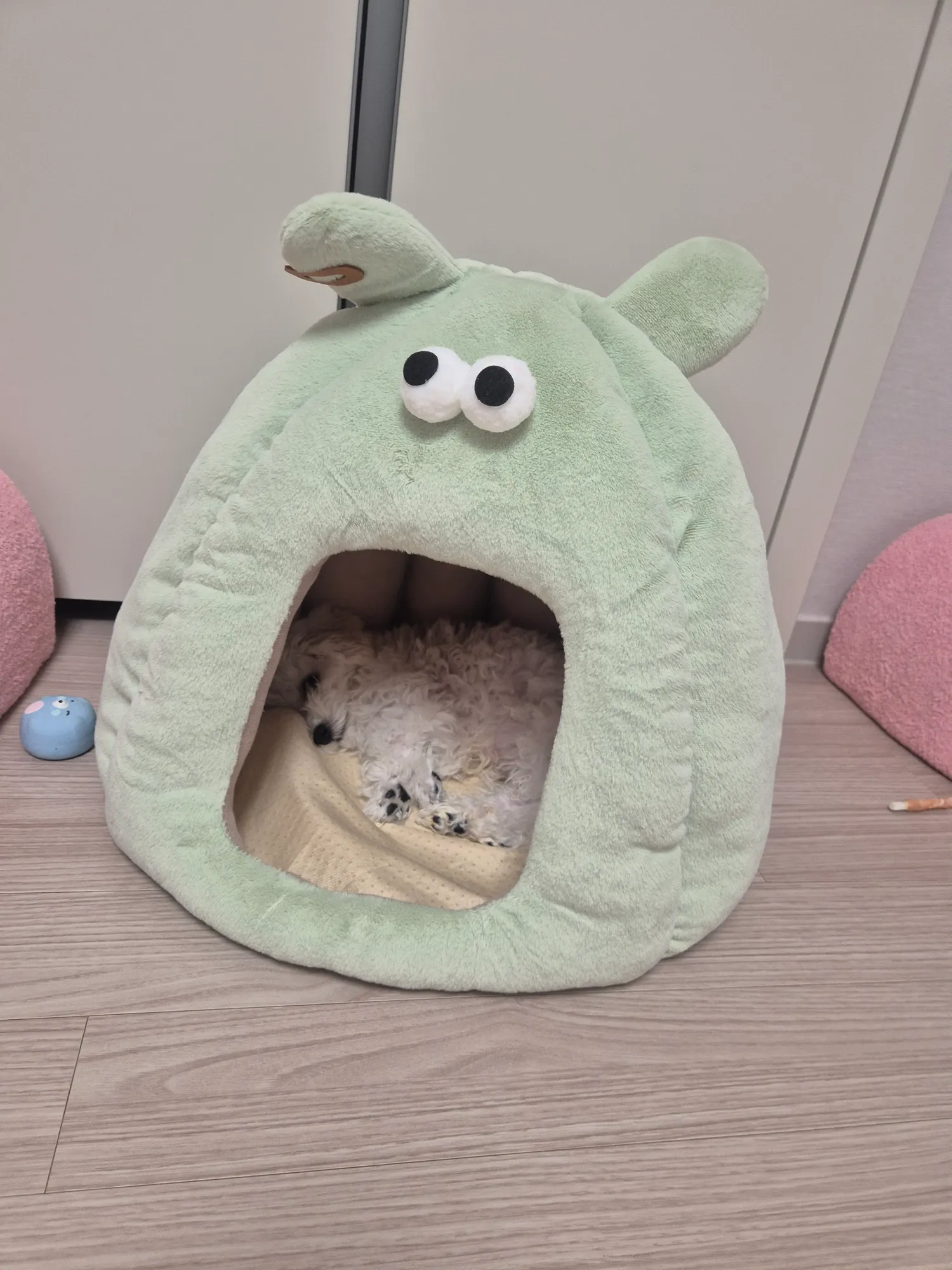 오늘낮4시까지 150찍어야된다4