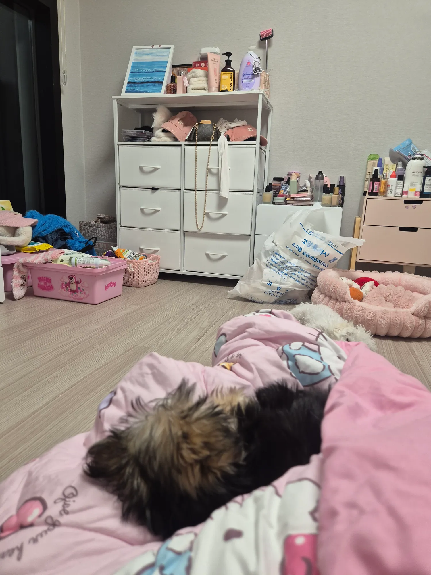 오늘낮4시까지 150찍어야된다 댓글
