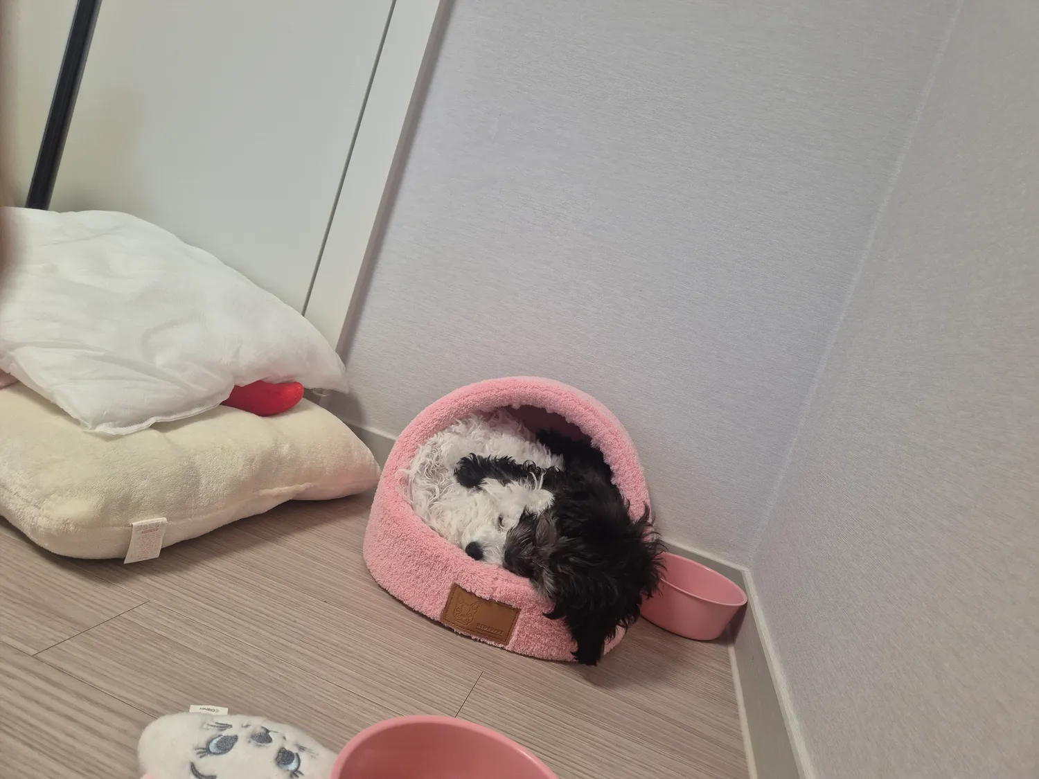 오늘낮4시까지 150찍어야된다 댓글 2
