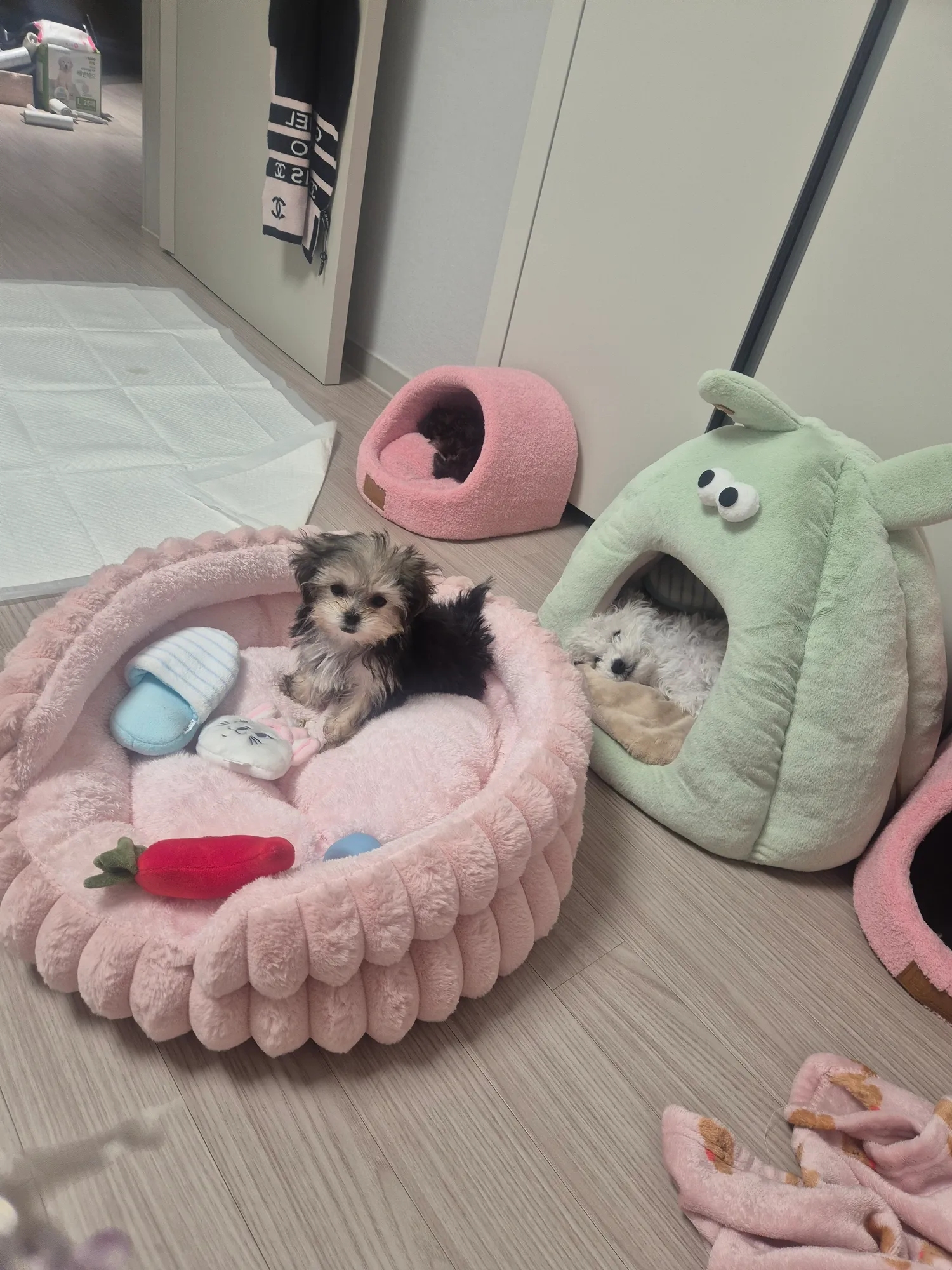 오늘낮4시까지 150찍어야된다 댓글 4