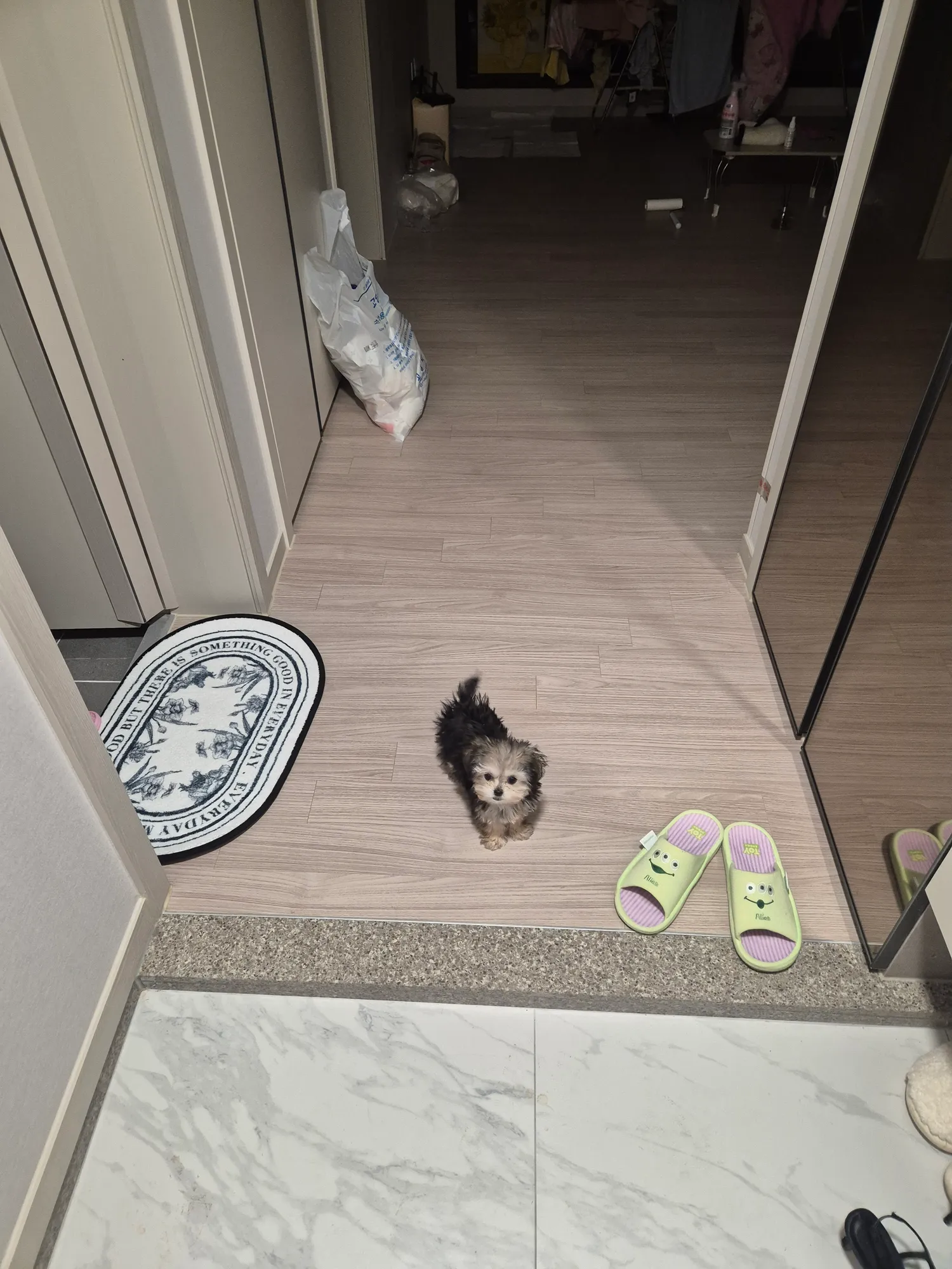 애기들 애쿠스 주차완료2