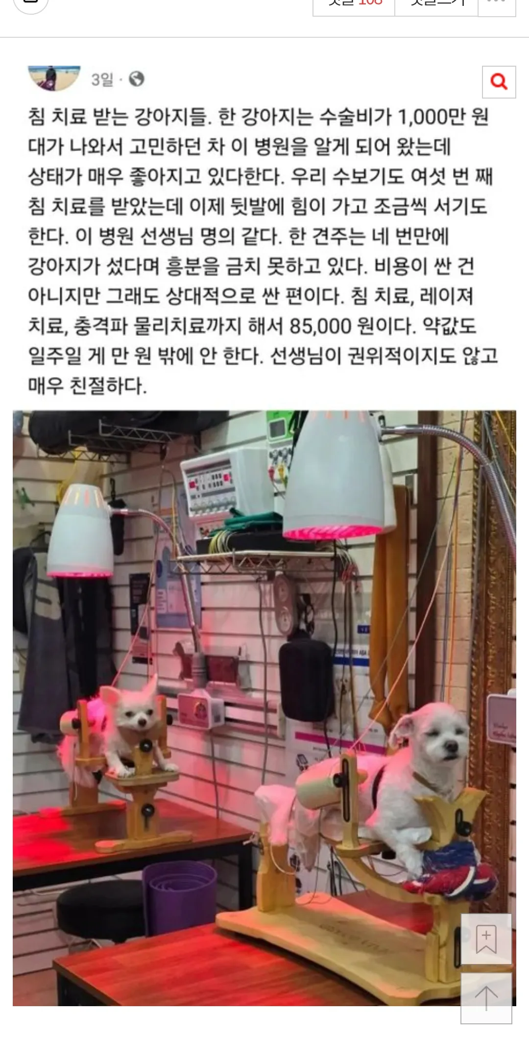 강아지 한의원두 잇네 ㅋ