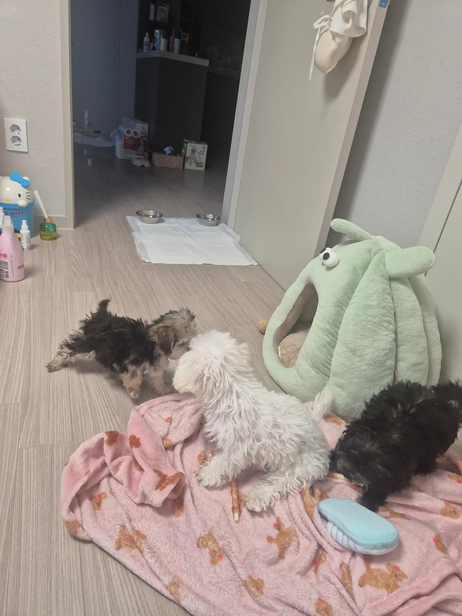 아침 댓글