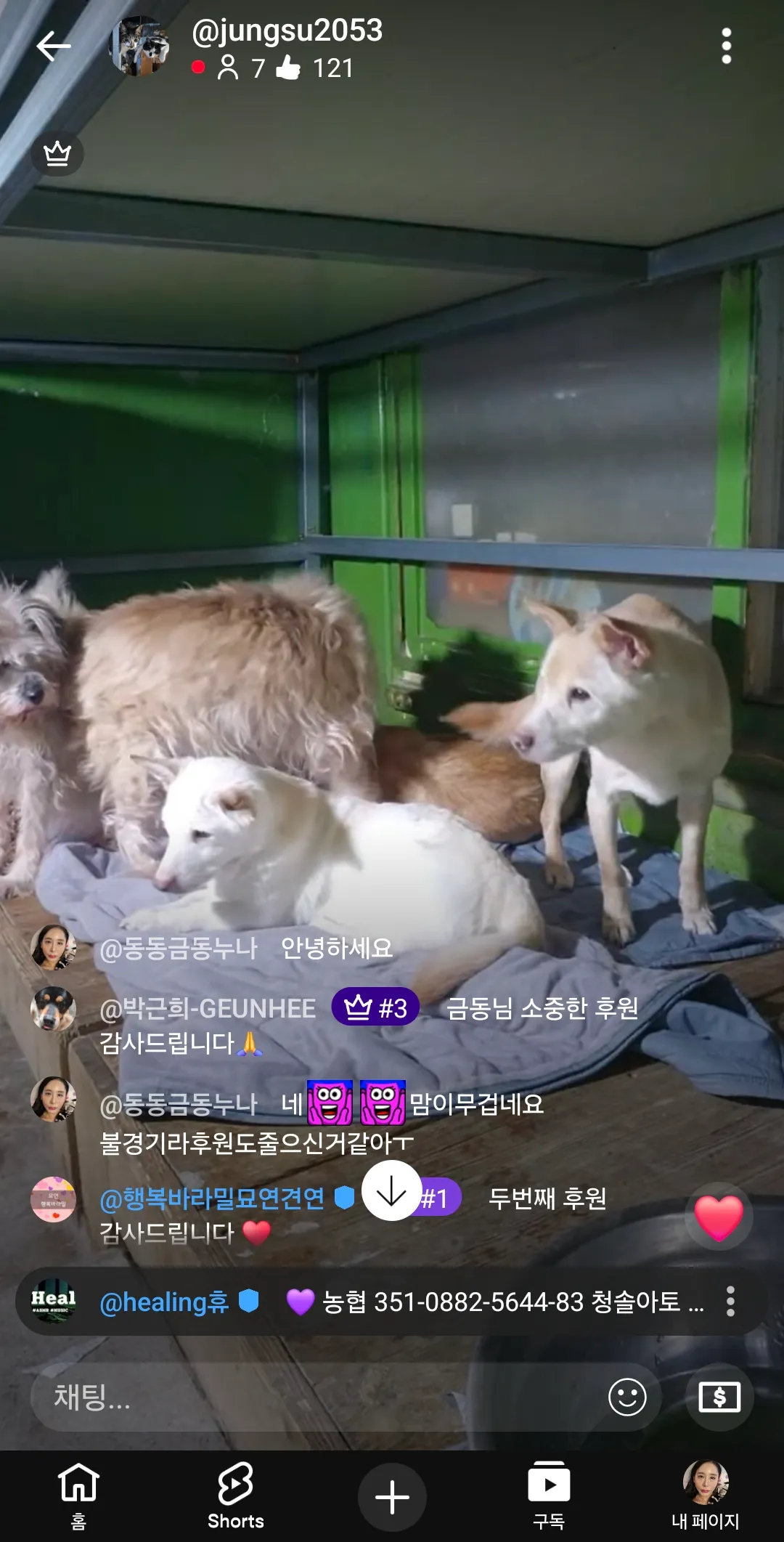 유기견묘 사료값10 후원완료